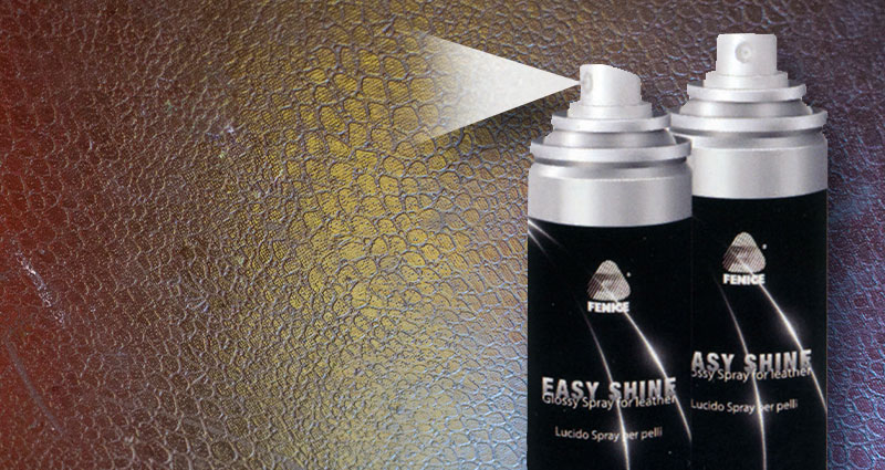 Spray Easy Shine Fenice